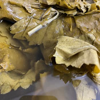 Bozuk Salamura Yaprakları, Cevapsız İletişim Ve İade Talebi