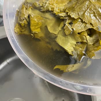 Bozuk Salamura Yaprakları, Cevapsız İletişim Ve İade Talebi