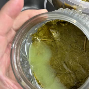 Bozuk Salamura Yaprakları, Cevapsız İletişim Ve İade Talebi