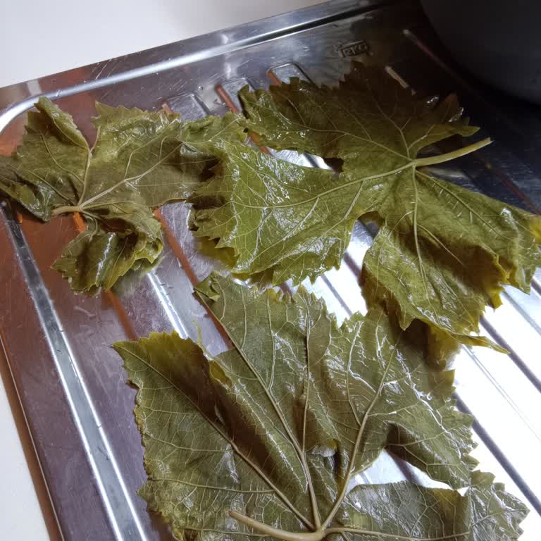 Yurtalan Yaprak Ödediğim Paranın Karşılığını Kesinlikle Alamadım!