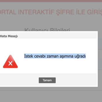 Gelir İdaresi Başkanlığı Earşiv Gov TR Girişinde Zaman Aşımı Hatası Ve Faturalarımda Mağduriyet