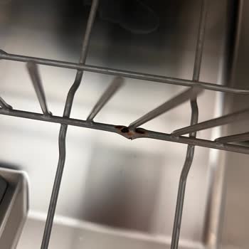 Bulaşık Makinesi Sepetlerinin Paslanması Ve Siemens Destek Vermemesi