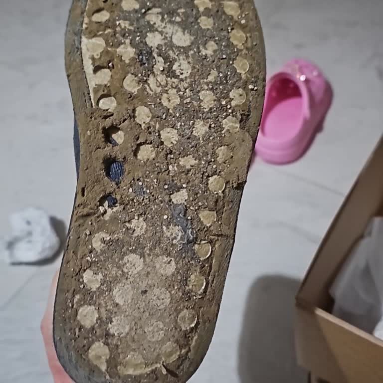 Pegia Bot Hayal Kırıklığına Uğrattı