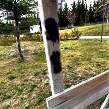 Güneş Bahçesi Parkı Çardaklarına Yönelik Yangın Tehditleri Ve Güvenlik Önlemleri İçin Acil Talep