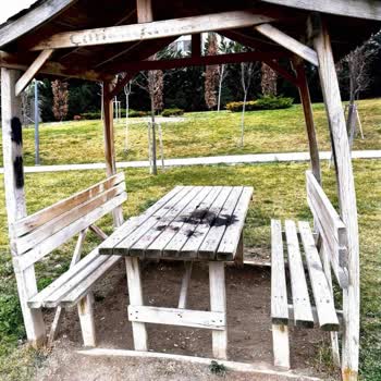 Güneş Bahçesi Parkı Çardaklarına Yönelik Yangın Tehditleri Ve Güvenlik Önlemleri İçin Acil Talep