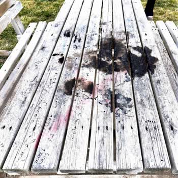 Güneş Bahçesi Parkı Çardaklarına Yönelik Yangın Tehditleri Ve Güvenlik Önlemleri İçin Acil Talep