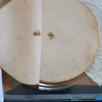 Polonez Hindi Fümede Yabancı Madde Tespiti Ve İade Talebi