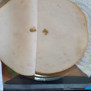 Polonez Hindi Fümede Yabancı Madde Tespiti Ve İade Talebi