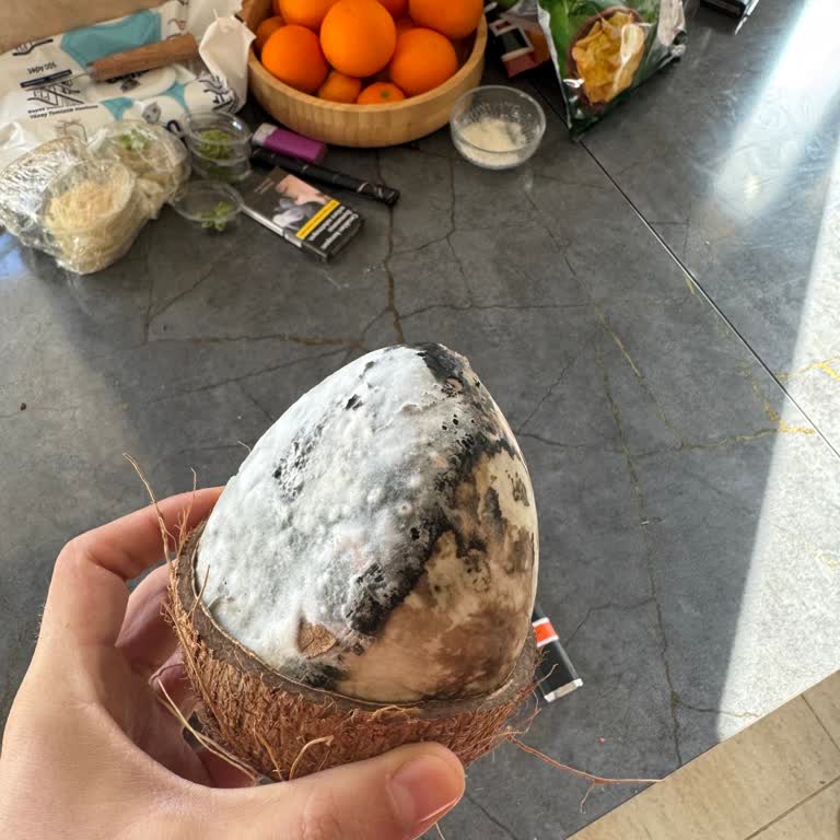 Küflü Hindistan Cevizi İçin İade Talebi