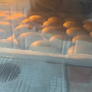 Pakmaya Instant Maya’da Kabarmama Ve Maddi Kayıp