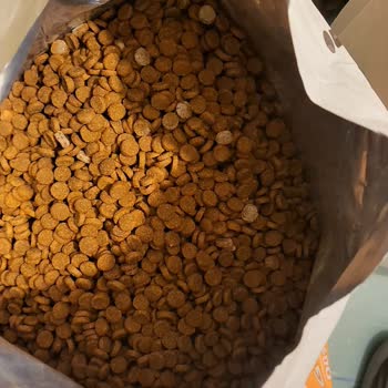 Kötü Kokulu Ve Renk Değişikliği Gösteren Kedi Maması İçin İade Ve İmha Talebi