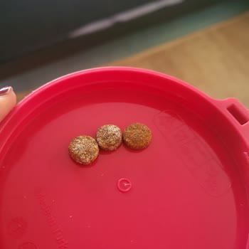 Kötü Kokulu Ve Renk Değişikliği Gösteren Kedi Maması İçin İade Ve İmha Talebi