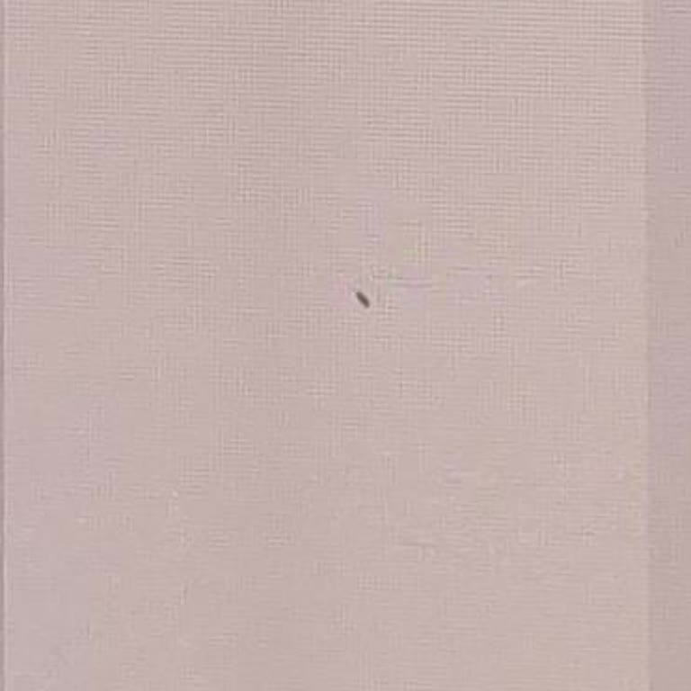 Axess Platinum Kartımdan İzinsiz Üyelik Ücreti Tahsil Edildi