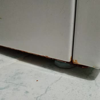 Garanti Kapsamındaki Bosch Çamaşır Makinesinde Paslanma, Ayıplı Mal Teklifi Yetersiz