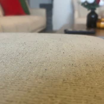 Atlanta Koltuk Takımında Erken Tüylenme Ve Tiftiklenme, Değişim Talebi