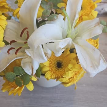 Lilyum Sarı Gerbera Siparişinde Çiçekler Solmuş Ve Eksik, İade Talebi