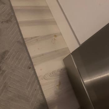 Patlayan Kola Evimde Kirlenme Ve Hasara Neden Oldu, Tek İade Yetersiz