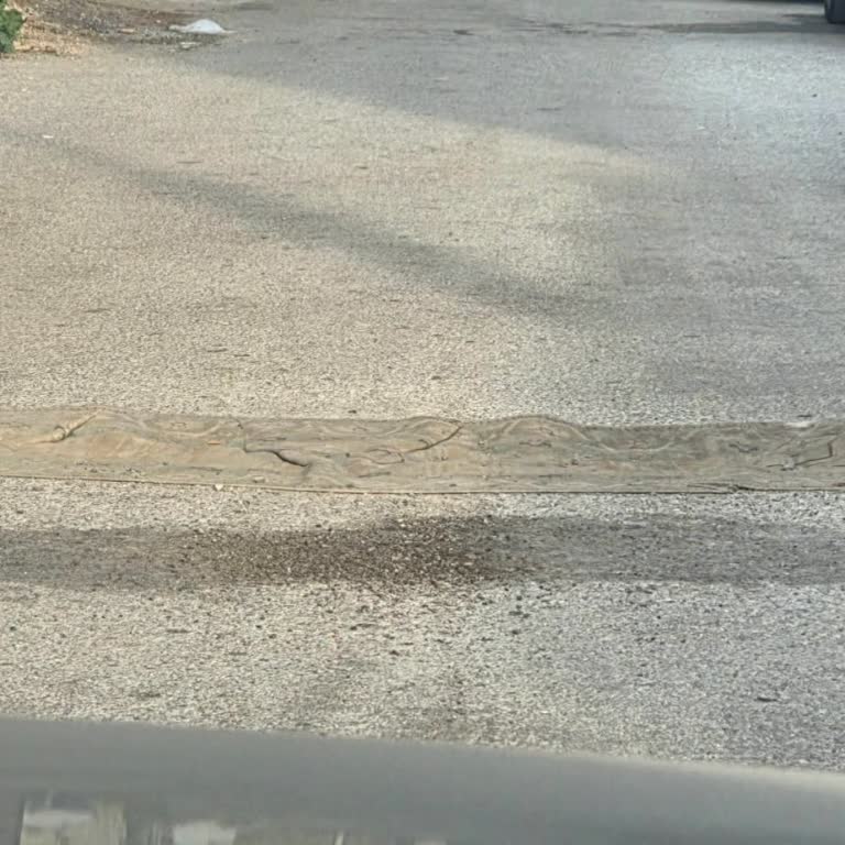 Mahallemizdeki Çukurlu Yollar Ve Çocuk Güvenliği İçin Acil Onarım Ve Kasis Talebi