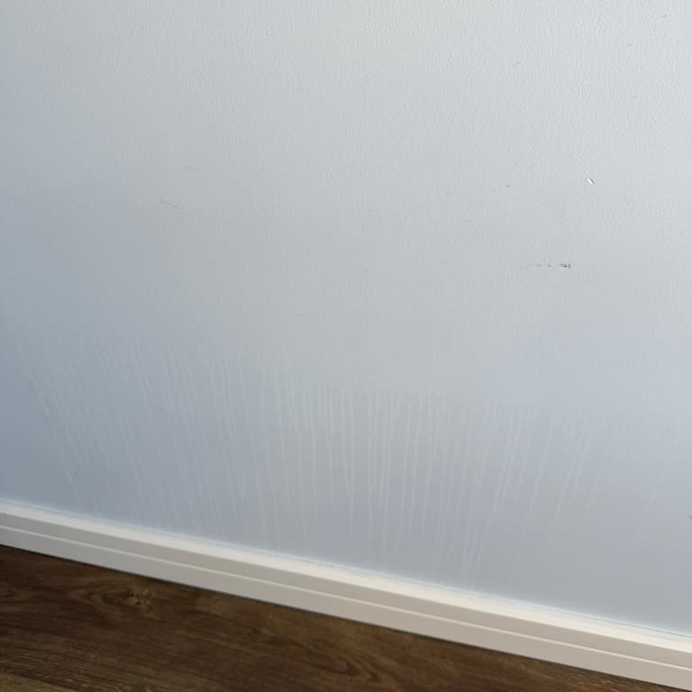 İki Yaka Temizlik Aldığım Hizmetten Hiçbir Şekilde Memnun Kalmadım!