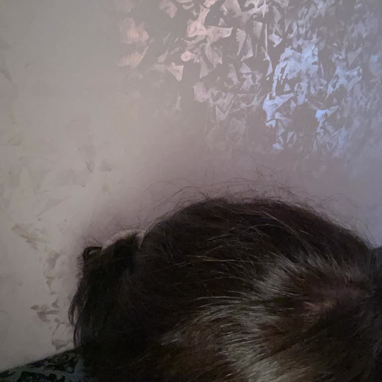 Kumral Renk İstendi, Koyu Boya Verildi Ve Beyazlar Kapamıyor