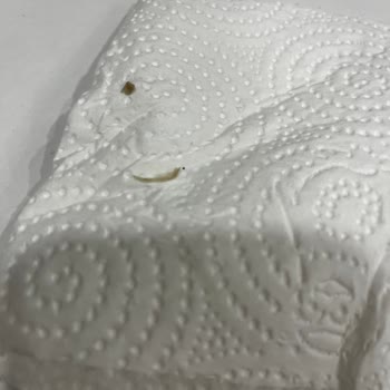 Karatay Termal Tatil Köyü Termal Suyun Yokluğu Ve Kirli Odalarla Tatilde Büyük Hayal Kırıklığı!