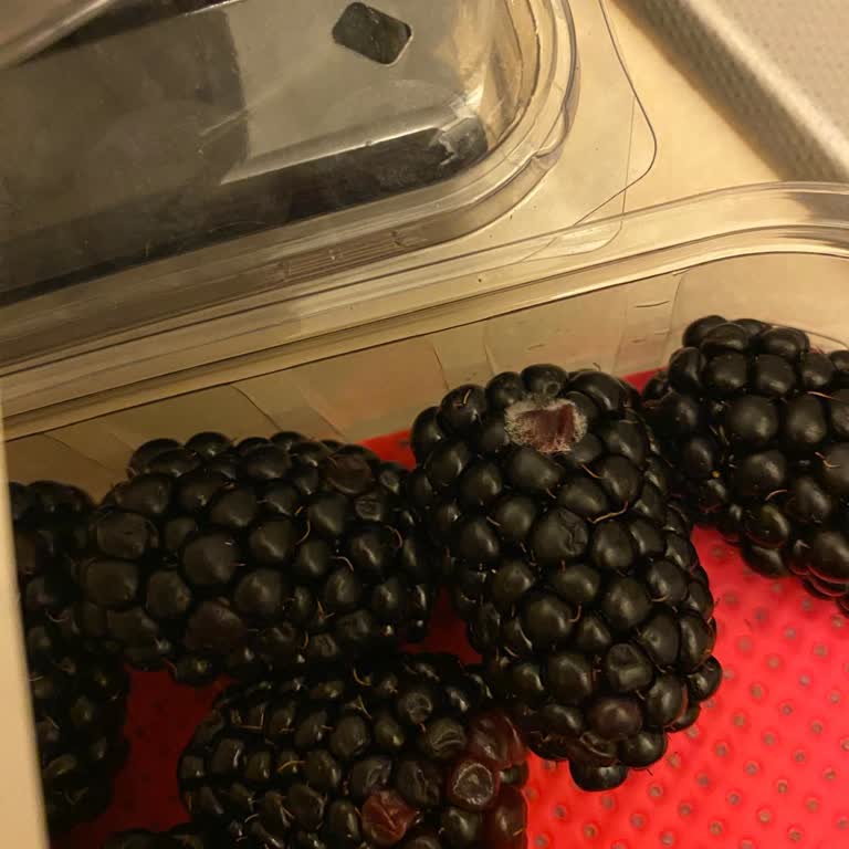 Küflü Böğürtlen Satın Alındı, Geri Ödeme Ve Açıklama Talep Ediliyor