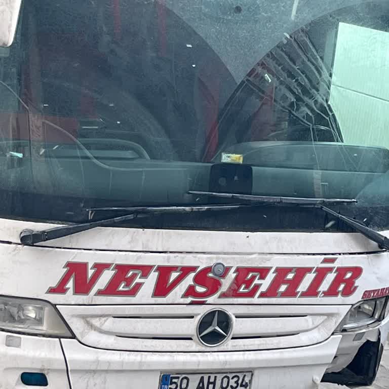 Silecekleri Çalışmayan Otobüste Görüş Kısıtlılığı Ve Köpek Çarpması