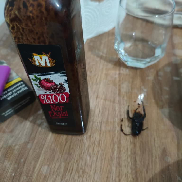 Migros Jet Nar Ekşisinde Hamam Böceği Tespiti Hijyen Skandalı