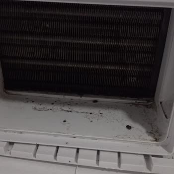 Bakım Sonrası Yan Sac Hasarı Ve Su Kaçağı İçin Sıfır Ürün Değişimi Talebi