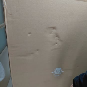 Hasarlı Samsung Buzdolabı Ve Bloke Edilen Hesap Nedeniyle Sipariş İptali Ve İade Talebi