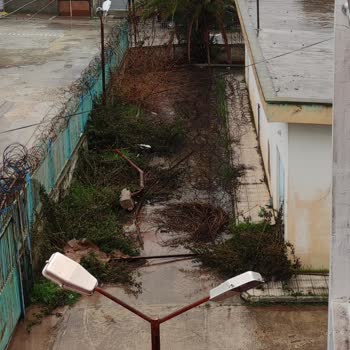 Türk Telekom Santralinden Çevre Kirliliğine Karşı Ağaçlandırma Talebi