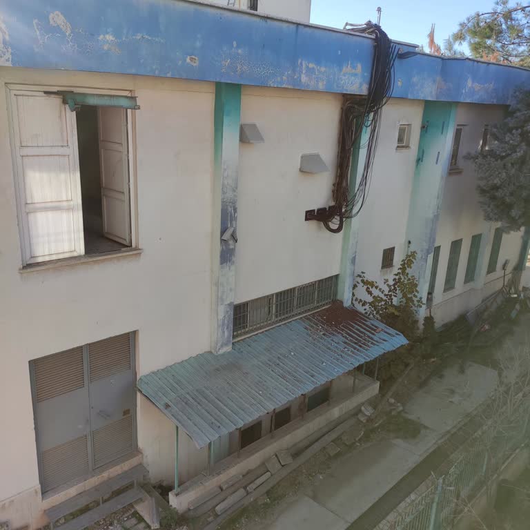 Türk Telekom Santralinden Çevre Kirliliğine Karşı Ağaçlandırma Talebi