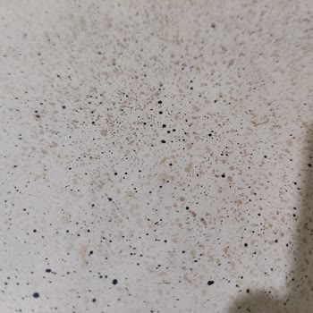 Korkmaz Tek Kullanımda Deforme Olması Beni Hem Şaşırttı Hem De Hayal Kırıklığına Uğrattı