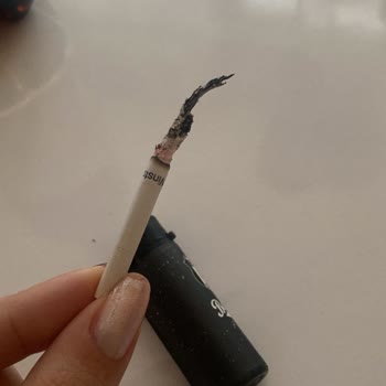 Winston Slim Gri Sigarasında Odunumsu Yabancı Madde Ve Sağlık Endişesi