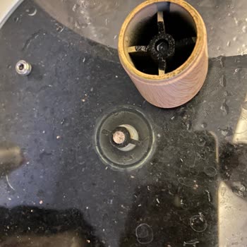 Karaca Ürünün Sapı Aniden Koptu Ve Kopan Bölgenin Ufalanmaya Başladı