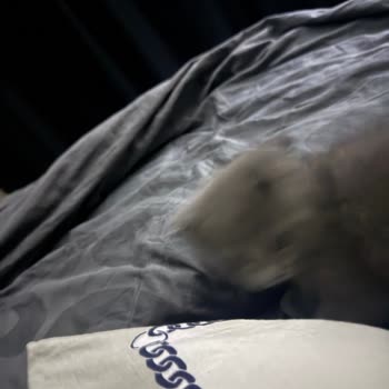 Kısa Sürede Dikişleri Kopan Deri Mont İçin Değişim Talebi