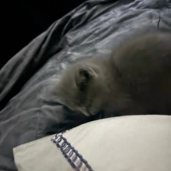 Kısa Sürede Dikişleri Kopan Deri Mont İçin Değişim Talebi