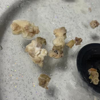 Akşeker Group Kokoreçte Can Sıkıcı Olay