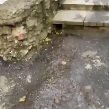İSKİ Rögardan Gelen Pis Su