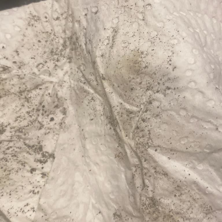 Migros Ortaköy Şubesindeki Salamura Yaprağın Kirli Ve Tehlikeli Durumu