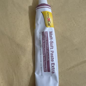 Hepsiburada Kedimin Yaladığı Ürünün Kokusunun Farklı Olması, Orijinal Olmadığı Şüphesi