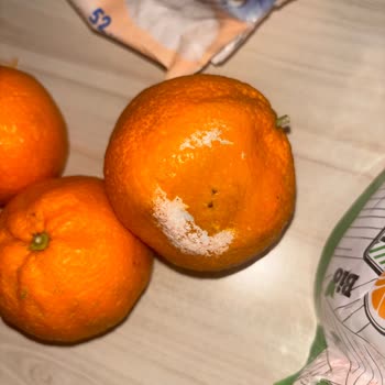 Migros Sanal Market'ten Çürük Mandalina Ve Açıklamasız İade Süreci