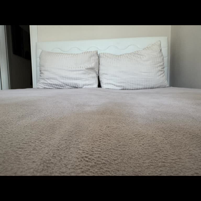 Aloe Vera Life Yatağım Sürekli Çöktü, Bel Ağrısı Yaşadım Ve Değişim Talebim Reddedildi