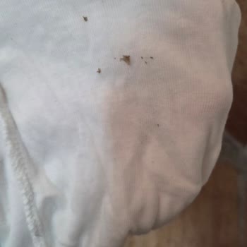 Arçelik Ek Garantili Çamaşır Makinesinde Paslanan Lastik Ve Ücret Talebi Kabul Edilemez