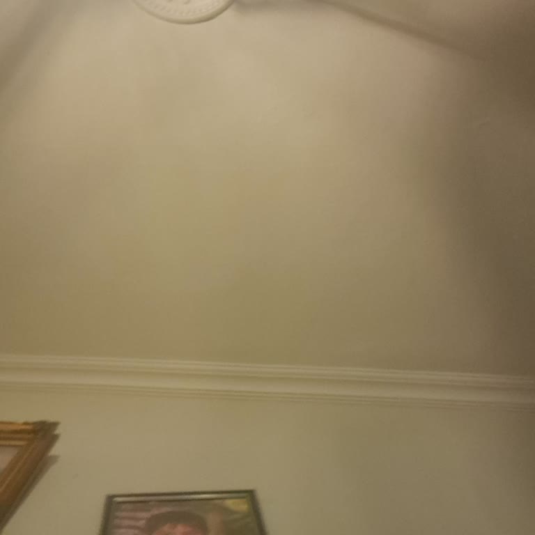 Teslim Edilmemiş Profilo Kurutma Makinesi, Ödeme Alındı Ve Sürekli Gecikme