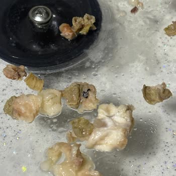 Akşeker Group Hijyenik Olmayan Ve Kalitesiz Kokoreç