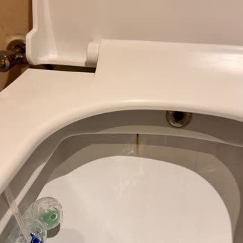 İç Yüzeyde Tekrarlayan Sararma Sorunu Nedeniyle Klozetin Değişimi Talebi