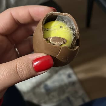 Bozulmuş Çikolatalı Sürpriz Yumurta Ve Kurt Oyuncağı Sağlık Sorunu