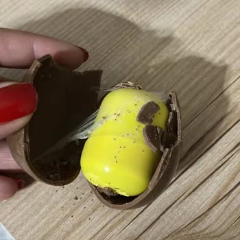 Bozulmuş Çikolatalı Sürpriz Yumurta Ve Kurt Oyuncağı Sağlık Sorunu