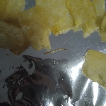 Patates Cipsinde Kurt Çocuk Sağlığını Tehlikeye Atıyor